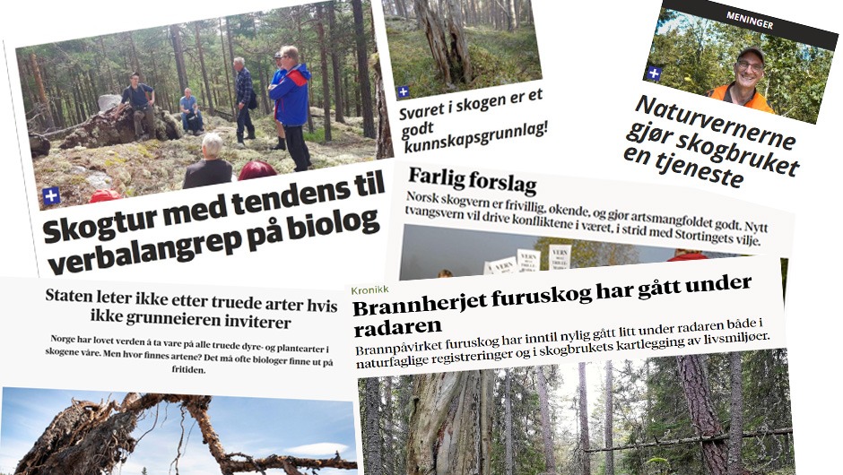 Opphetet debatt om truede arter og skognæringas miljøansvar i Notodden