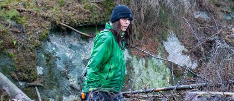 Ulrika Jansson hos NRK: Om skogvern og råtebekjempelse som klimatiltak
