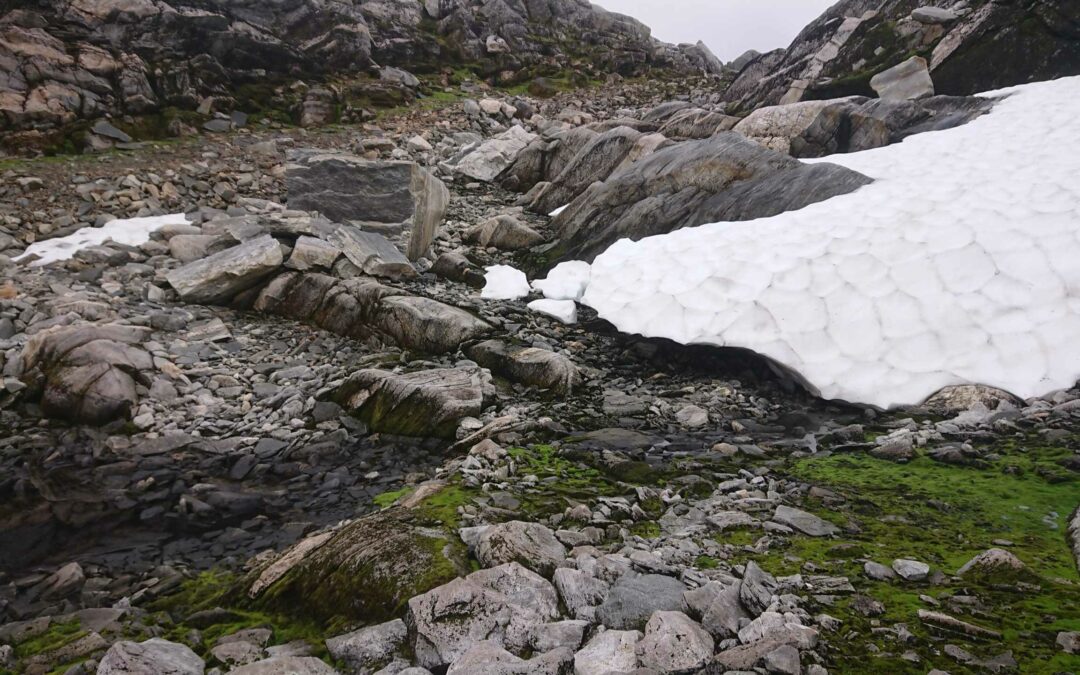 Naturmangfold i foreslåtte vindkraftområder på Vestlandet