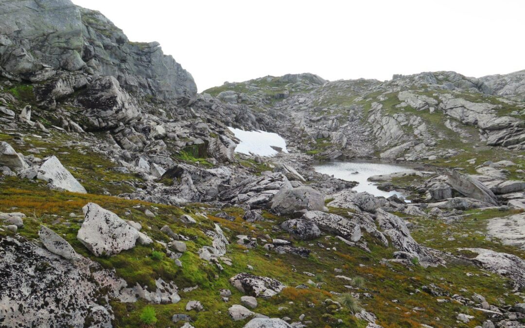 Kartlegging av naturmangfold i foreslåtte vindkraftområder i Høyanger og Sunnfjord