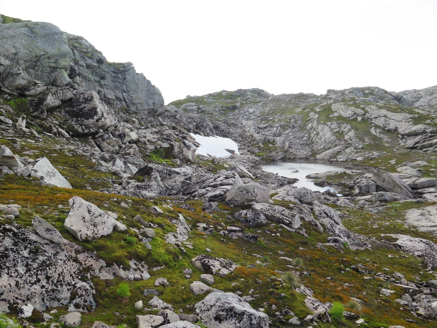 Kartlegging av naturmangfold i foreslåtte vindkraftområder i Høyanger og Sunnfjord