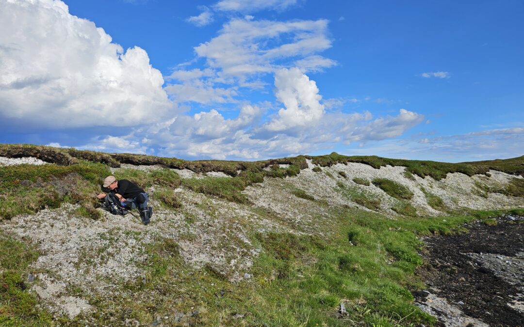 Moseundersøkelser i Finnmark