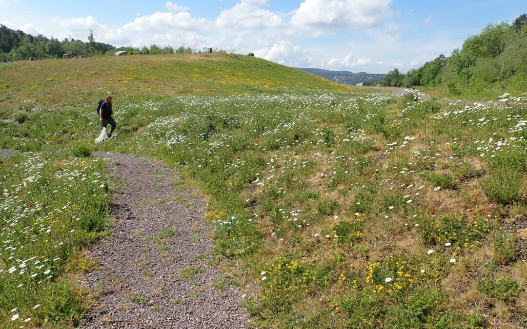 Det summer på Langøyene