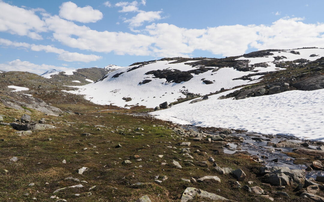 Artsdatabanken lanserer ny norsk rødliste for naturtyper