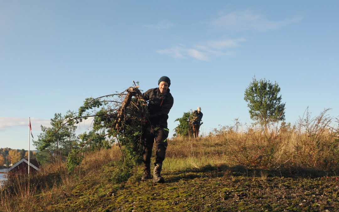 Biofokus ansetter restaureringsøkolog, Dag Lennart Nielsen!